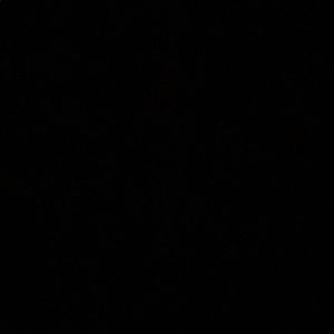 Meet your Posher, Yasmine